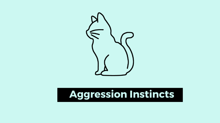 Aggression Instincts of Animals