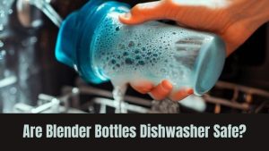 Are Blender Bottles Dishwasher Safe