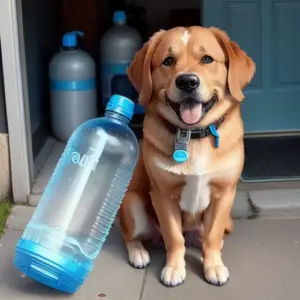 Are water bottles bad for dogs